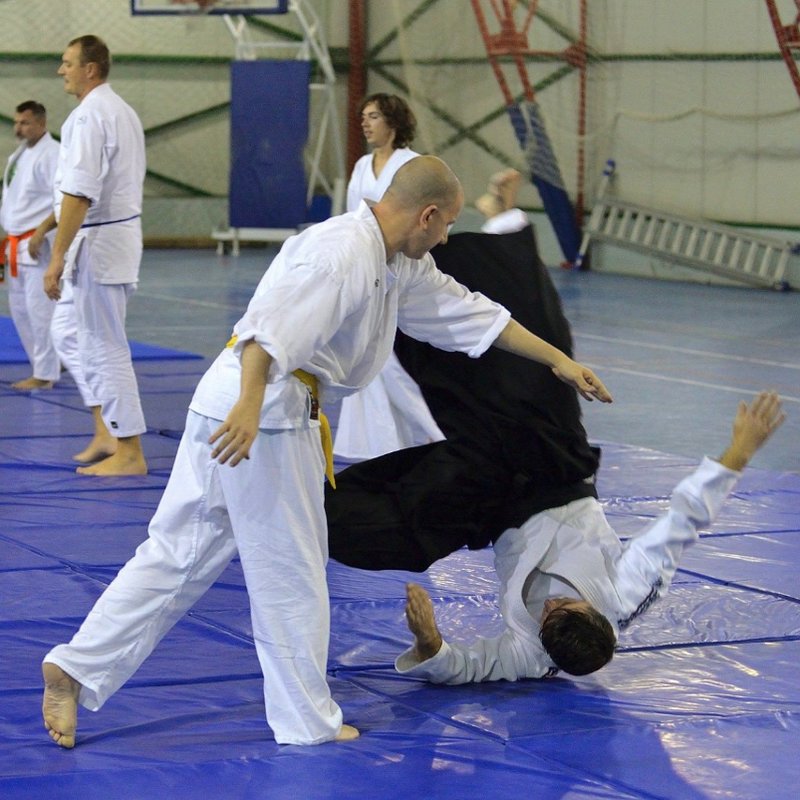 Aikirodac - Scoala de arte martiale